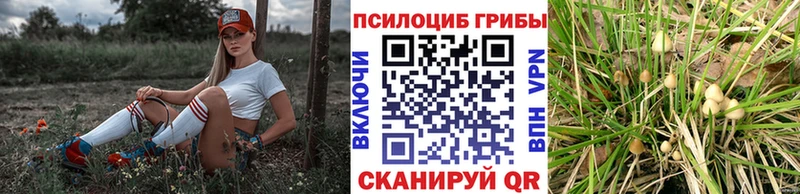 Псилоцибиновые грибы ЛСД  мориарти какой сайт  Славск 